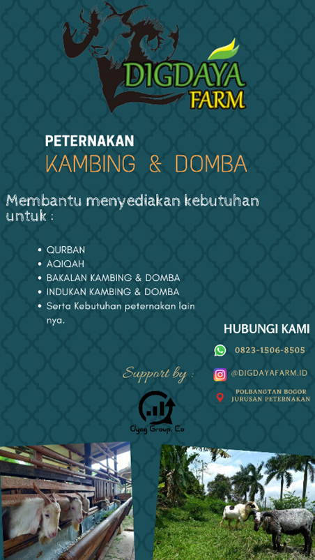 Tenant