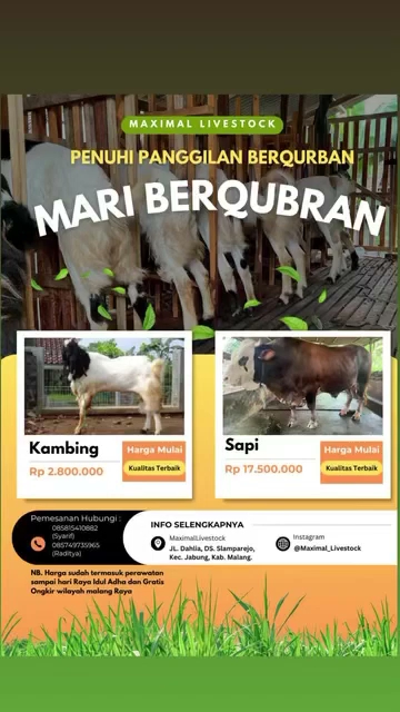 Tenant